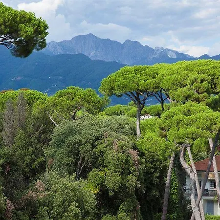 President 4* Forte dei Marmi